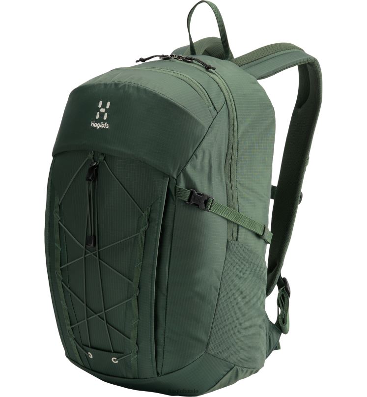 Fjell Green Men Haglofs Vide 25 Backpacks & Bags ZXT0L452